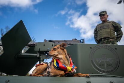 Un perro abordo de una tanqueta militar con la bandera de Colombia, acompaño el recorrido. 