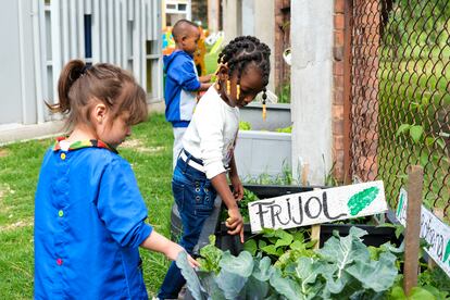 Niños cuidan de la huerta en el jardín Afrobogotano