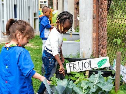 Niños cuidan de la huerta en el jardín Afrobogotano.