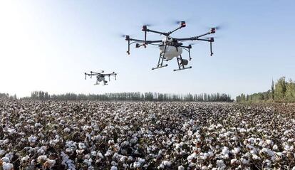 Drones volando por el campo.