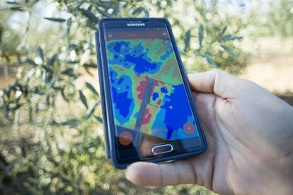 Las zonas en color azul serían las que están en perfecto estado; las rojas, aquellas que deben ser analizadas porque no están realizando la actividad fotosintética correctamente. "Trabajamos con agricultores particulares para controlar olivares y cultivos de arroz, remolacha y tomate. La legislación nos impide realizar estos servicios en campos a menos de ocho kilómetros de un aeropuerto y eso está limitando nuestro crecimiento en algunos lugares", asegura Arias.