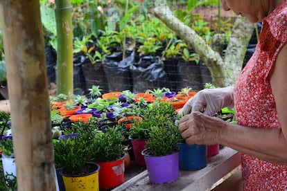 Las mujeres de La Comunera trabajan en la siembra de semillas, especialmente plantas aromáticas.