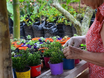 Las mujeres de La Comunera trabajan en la siembra de semillas, especialmente plantas aromáticas.
