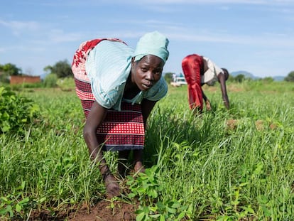 Una mujer trabaja la tierra en Sudán del Sur.