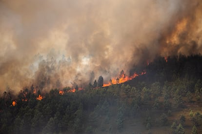 Avance de las llamas en la sierra de O Courel.