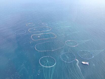 VISTA AEREA DE LAS PISCINAS EN EL MEDITERRÁNEO