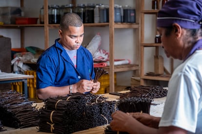 Los trabajadores inspeccionan y seleccionan vainilla en Spice Aroma, una empresa de vainilla con sede en Sambava, el 26 de mayo de 2025.