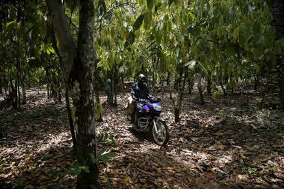 Ebenezer Akinmade, en moto por su explotación de cacao.