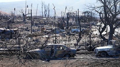 Destroyed homes and cars are shown, Sunday, Aug. 13, 2023, in Lahaina, Hawaii. 