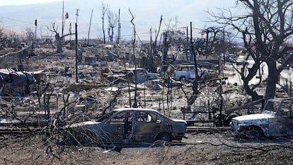 Destroyed homes and cars are shown, Sunday, Aug. 13, 2023, in Lahaina, Hawaii. Hawaii officials urge tourists to avoid traveling to Maui as many hotels prepare to house evacuees and first responders on the island where a wildfire demolished a historic town and killed dozens. (AP Photo/Rick Bowmer)