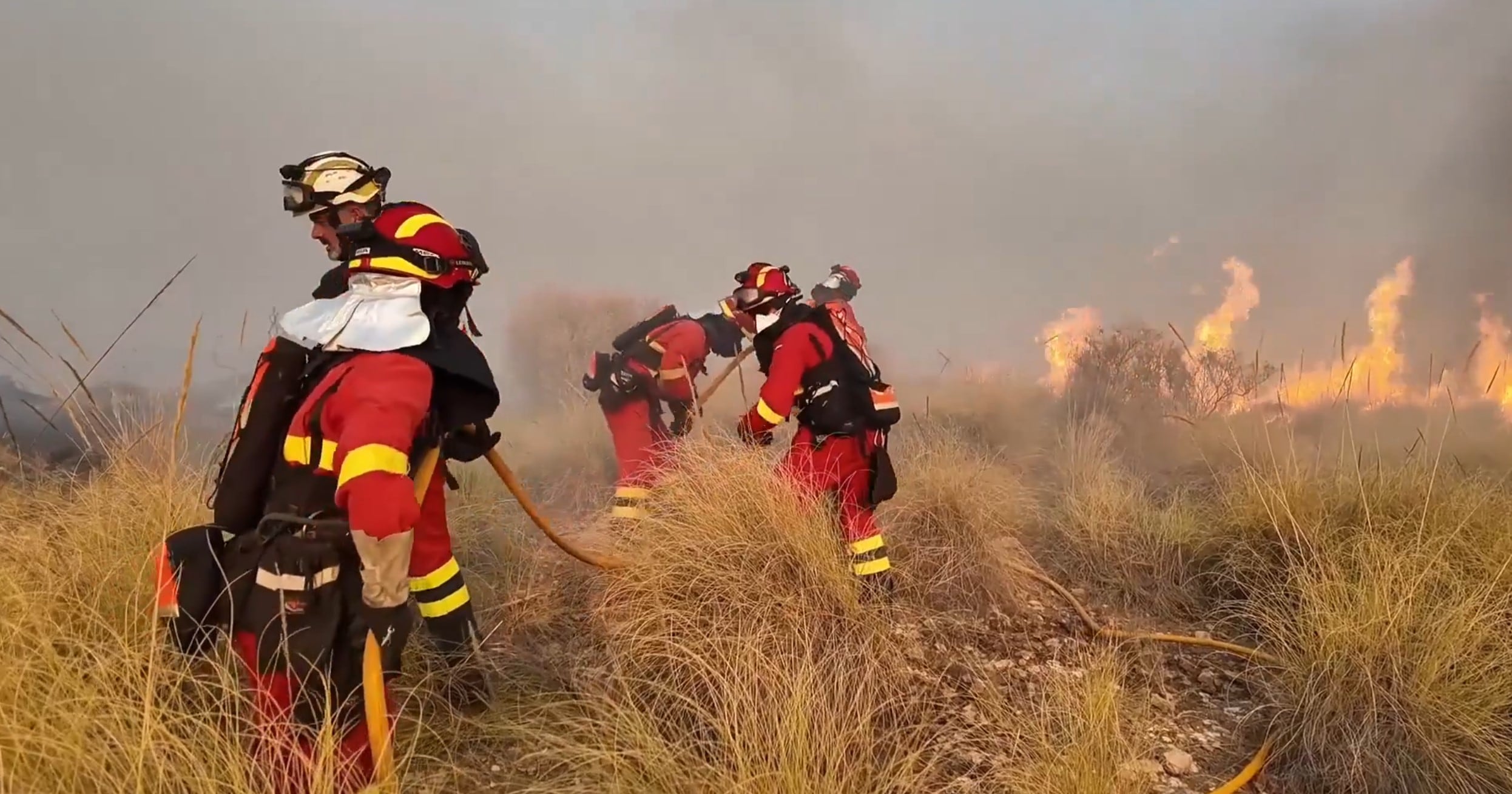 Últimas noticias del incendio forestal de Los Gallardos (Almería), en directo | Al menos 11 muertos y 23 desaparecidos en el incendio más trágico registrado en Andalucía