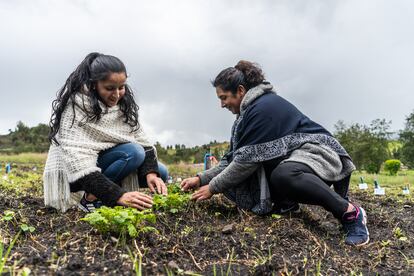 Marcela Pinilla  y Consuelo Rincón en su parcela del Carmen de Carupa del departamento de Cundinamarca.