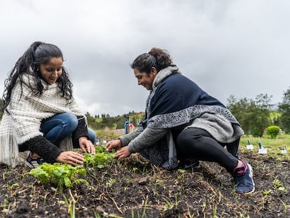 Marcela Pinilla  y Consuelo Rincón en su parcela del Carmen de Carupa del departamento de Cundinamarca.