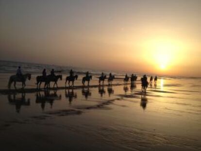 Excursión a caballo de Arte Andaluz por las playas del Espacio Natural de Doñana.