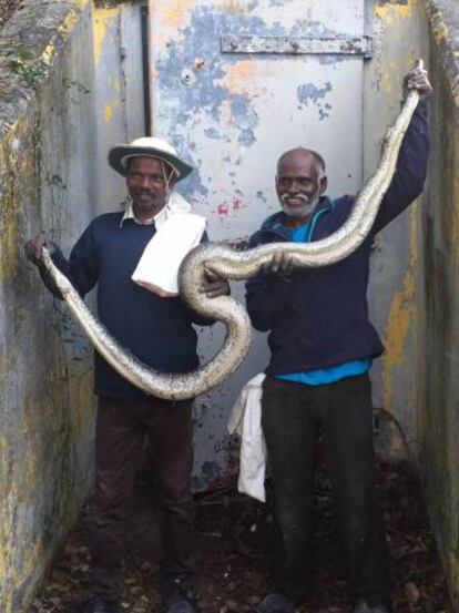 Masi Sadaiyan (izq) y Vadivel Gopal con una pit&oacute;n en Florida.