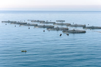 Imagen de granjas de peces en España.