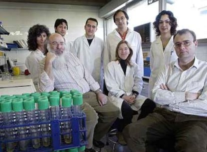 El grupo de mutagénesis de la UAB que investiga cómo vencer las barreras de la quimioterapia.