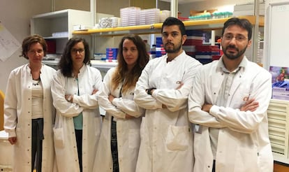 El grupo de tumores cerebrales de Massimo Squatrito, uno de los afectados en el CNIO.