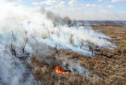 Un incendio en el delta del Paraná, cerca de la ciudad de Victoria en Entre Ríos (Argentina), en agosto de 2022.
