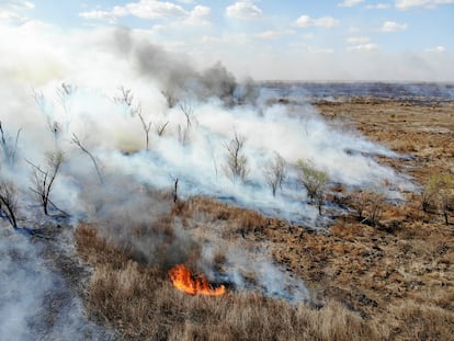 Un incendio en el delta del Paraná, cerca de la ciudad de Victoria en Entre Ríos (Argentina), en agosto de 2022.