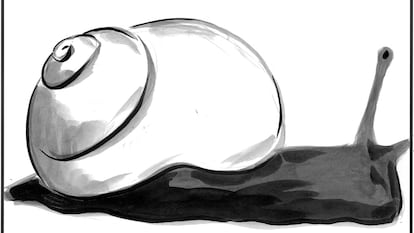 El Roto: el caracol alquila