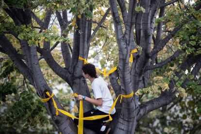 Un joven coloca lazos amarillos en un árbol de la Diagonal de Barcelona durante la jornada de huelga.