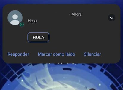 Mensaje WhatsApp notificación