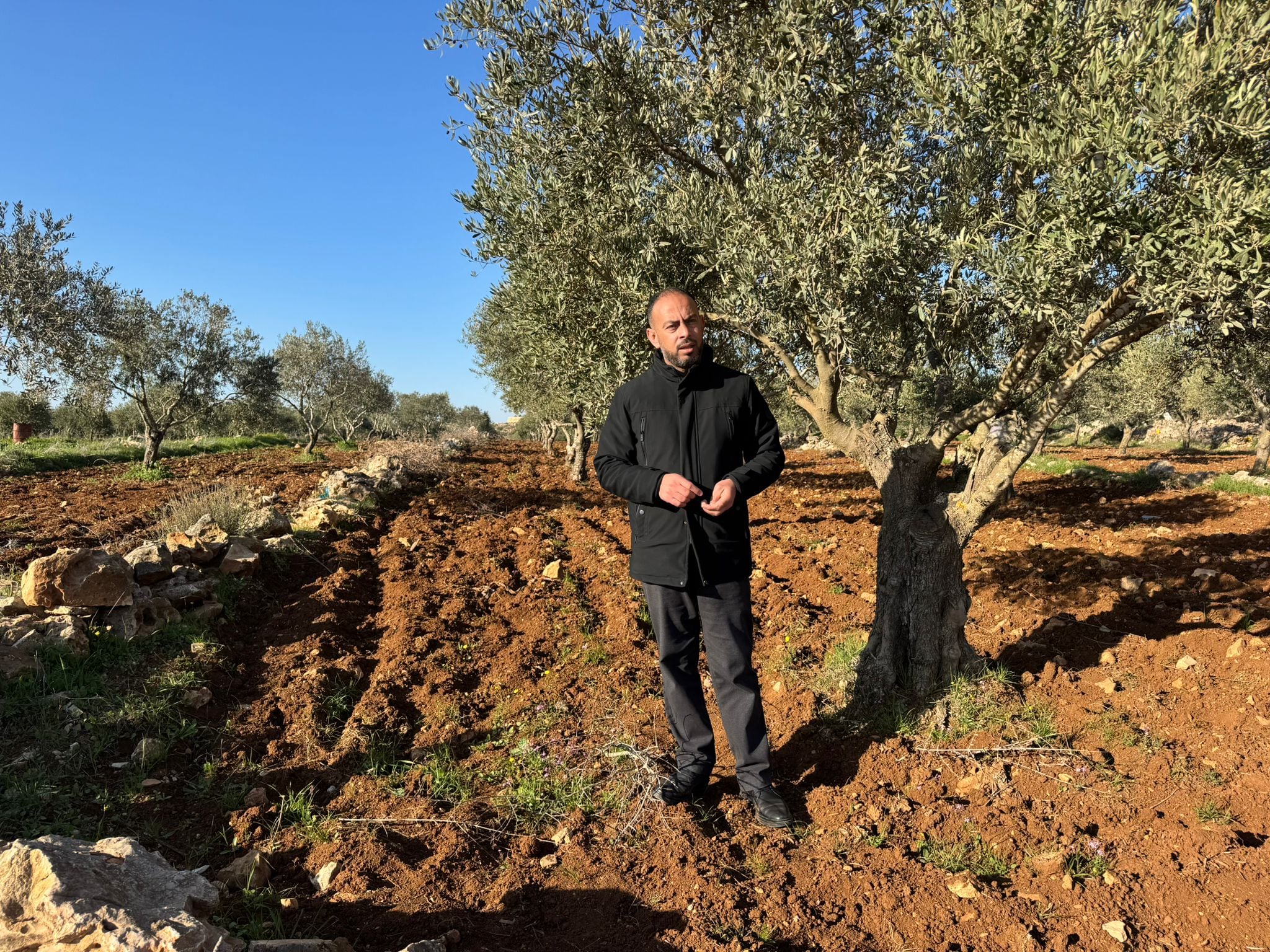 Omar Hamayel, en el olivar donde dos de sus primos fueron tiroteados por colonos, en la localidad cisjordana de Abu Falah, el 10 de marzo.