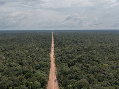 La carretera BR3-19 en la Amazonia, Brasil.