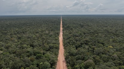 La carretera BR3-19 en la Amazonia, Brasil.