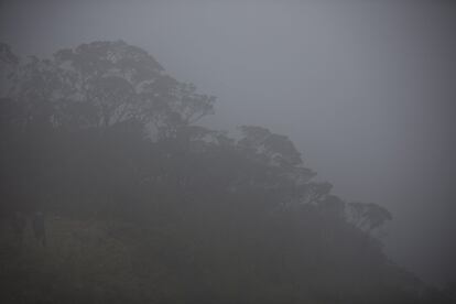 Páramo en el Parque Nacional de Chingaza, en Colombia