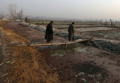 Men cross a footbridge over a weed-covered canal on a cold winter morning in Srinagar December 21, 2015. REUTERS/Danish Ismail