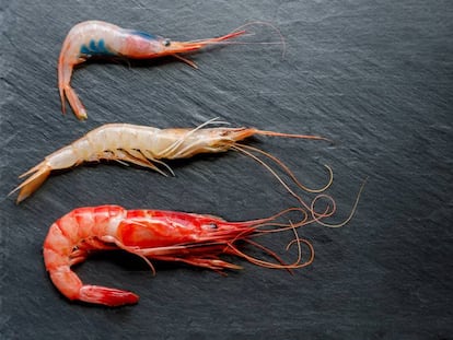 ¿Es mejor comprar las gambas cocidas o crudas y cocerlas en casa?