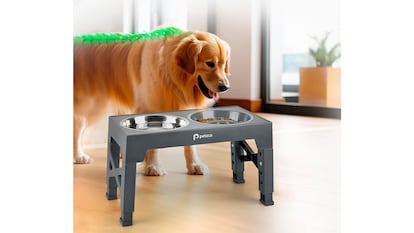 Comedero para perros sobre fondo blanco.