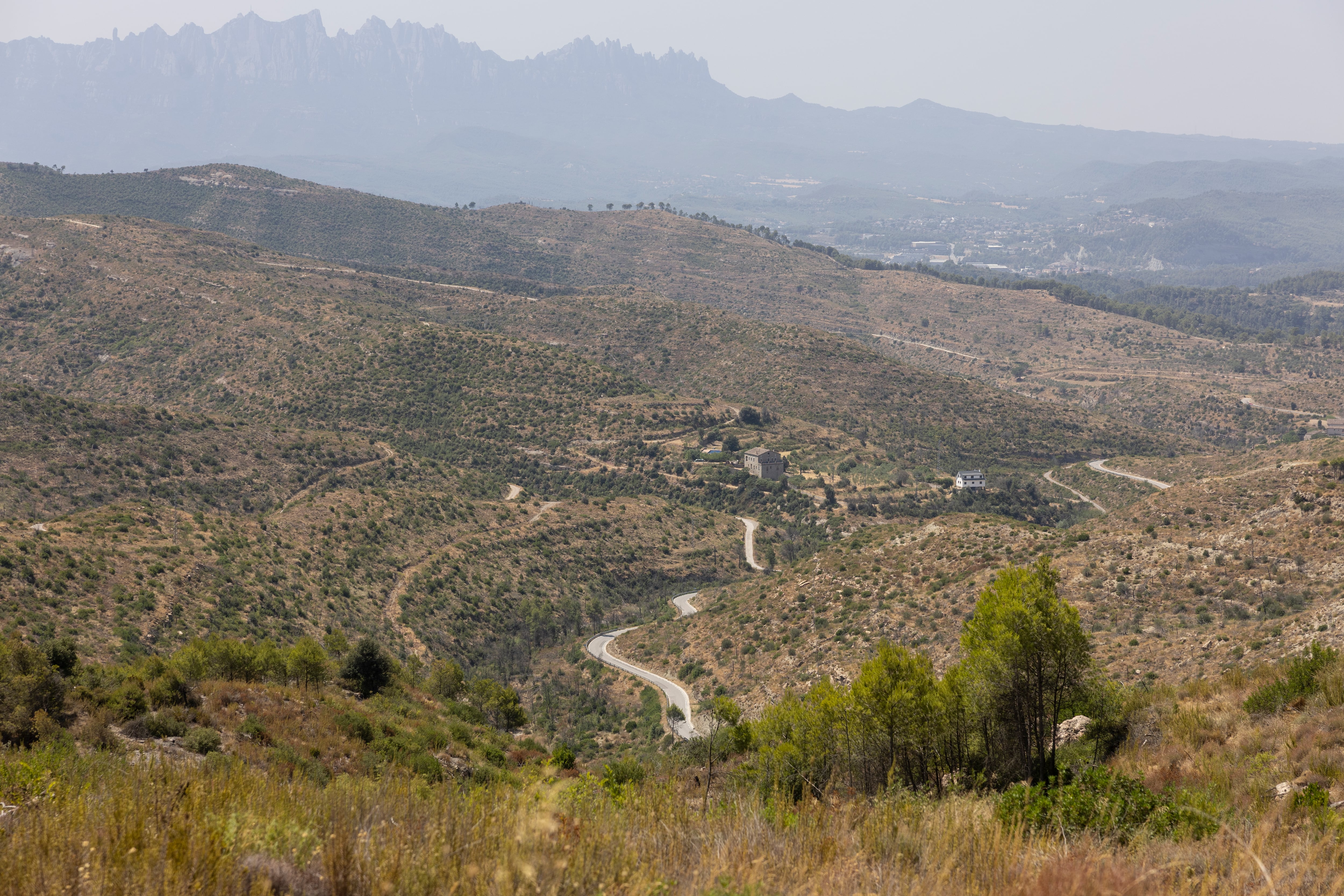 La carretera de acceso a la urbanización River Park con la montaña Montserrat de fondo.  