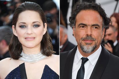 Los nuevos proyectos de Marion Cotillard y Alejandro G. Iñárritu han despertado más críticas que alabanzas.
