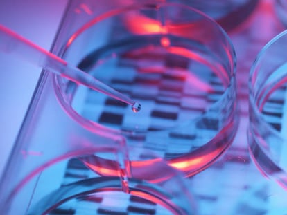 El despertar de las ‘startups’ biotecnológicas