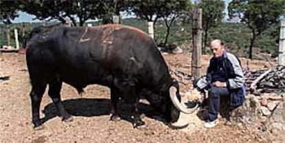 El maestro Chenel, con <i>Romerito</i>, el semental al que cuenta sus cosas y que le come en la mano.