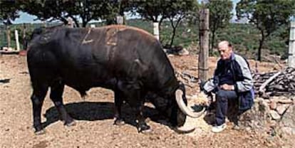 El maestro Chenel, con <i>Romerito</i>, el semental al que cuenta sus cosas y que le come en la mano.