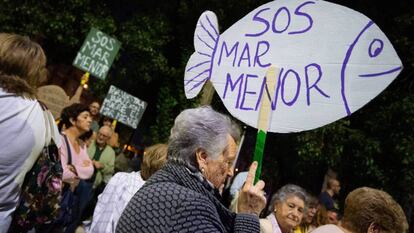 Manifestantes durante la manifestación por el mar Menor en octubre.