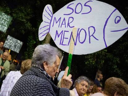 Manifestantes durante la manifestación por el mar Menor en octubre. 