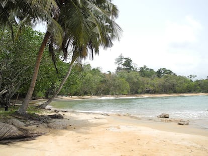 Sesenta bailes para la seducción