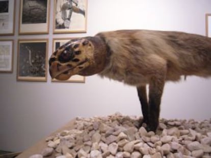 Uno de los animales del proyecto 'Fauna', realizado en colaboración con Pere Formiguera.