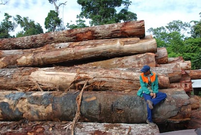 Madera talada en la Amazonia brasileña.