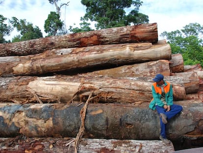 Madera talada en la Amazonia brasileña.