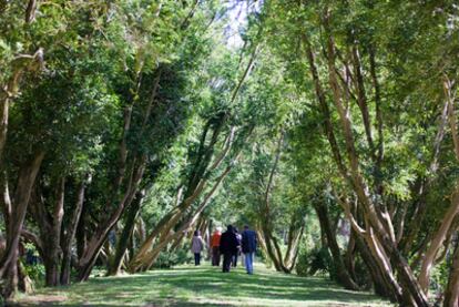 El paseo de Os Buxos, en la isla de San Simónen, en la ría de Vigo.