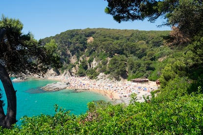 Playa Cala Sa Boadella, en Lloret De Mar.