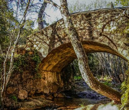 En el centro del mágico valle de Las Batuecas, en el municipio salmantino de La Alberca, bautizado por Lope de Vega como “perpetuo lugar de felicidad”, se halla el monasterio carmelita del Desierto de San José, del siglo XVI, donde se ofrece alojamiento a quien busque recogimiento. Construido en esta zona inhabitada como lugar de vida retirada y eremítica, comparte territorio con numerosas ermitas ubicadas tanto dentro como fuera del recinto conventual, diseminadas en su mayoría por los riscos circundantes y cuyas ruinas se conservan en la actualidad. <br><br> Al otro lado del río Batuecas que da nombre al valle se pueden ver fascinantes pinturas rupestres neolíticas de colores rojizos, negros y blancos. La bella y complicada orografía de la zona está caracterizada por las montañas de la sierra de Francia, que acoge machos monteses y buitres leonados. <br><br> <i>A 1 hora en coche desde Salamanca.</i>