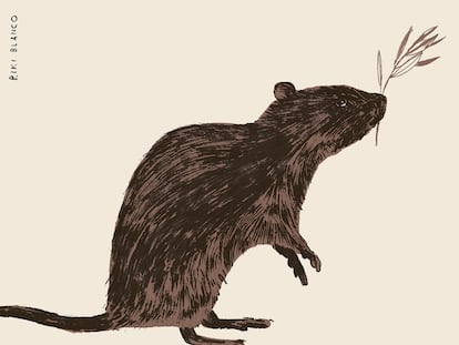 Riki Blanco: la rata de la paz