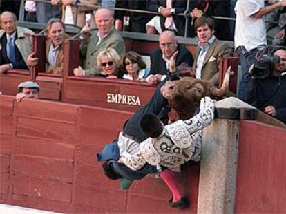 El segundo toro, en el callejón, donde llegó a cornear a varias personas.